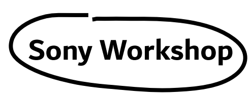 Sony Workshop